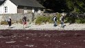 2015-10-01 11-54-19 St Gildas - Chateau de Suscinio CGn